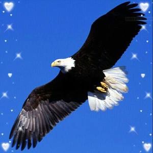 Meet your Posher, Hildaliza